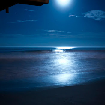 Acerting Art - Beethoven Moonlight Sonata With Relaxing Nature Sounds