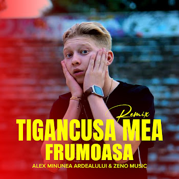 Alex Minunea Ardealului - Tigancusa Mea Frumoasa (Remix) Ft Zeno Music