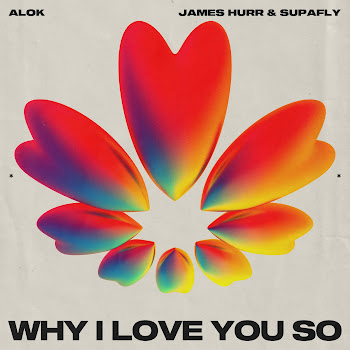Alok - Why I Love You So Ft James Hurr & Supafly