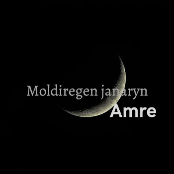 Amre - Moldiregen Janaryn