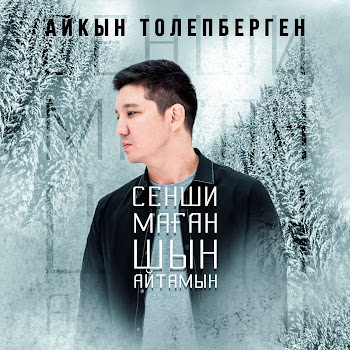 Айкын Толепберген - Сенши Маған Шын Айтамын