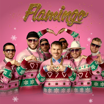 Bermudu Divsturis - Flamingo (Feat. Dj Guano)