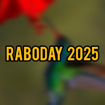 Chacha Studio Production - Raboday Panike 2025