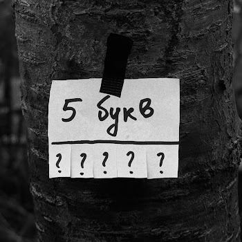 Dakooka - 5 Букв