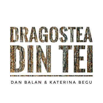 Dan Balan - Dragostea Din Tei Ft Katerina Begu