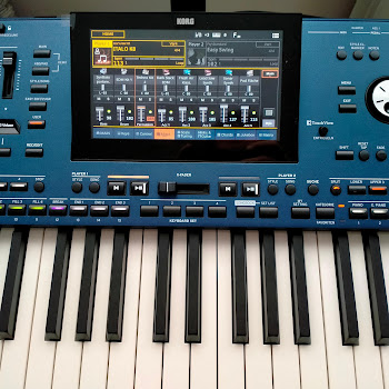 Danekoo1 - Euro Korg Style 2