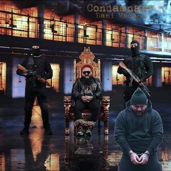 Dani Mocanu - Condamnare