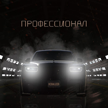 Demaleen - Профессионал