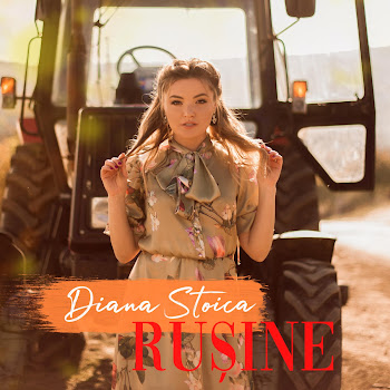 Diana Stoica - Rusine