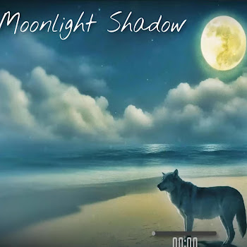 Dj Grossu - Moonlight Shadow
