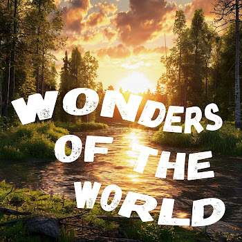 Dj Polkovnik - Wonders Of The World