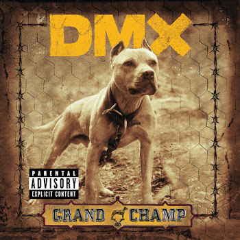Dmx - The Rain