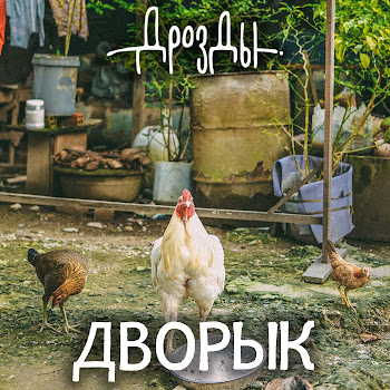 Дрозды - Дворык