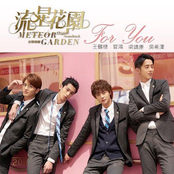 Dylan Wang - For You (电视剧「流星花园」片头曲) - For You (From