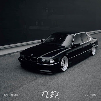 Emin Nilsen - Flex Ft Cotneus