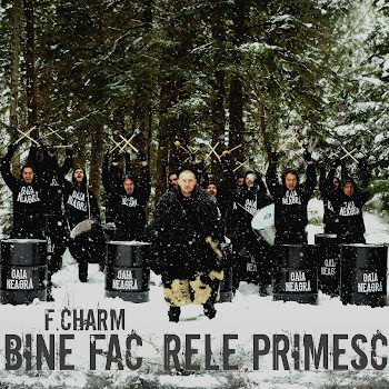 F.charm - Bine Fac, Rele Primesc