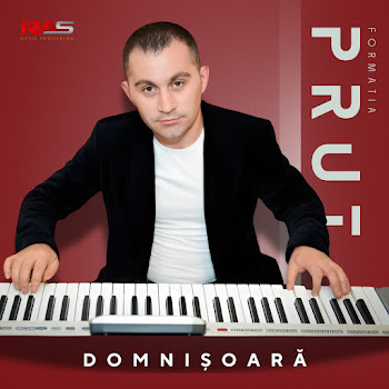 Formatia Prut - Domnisoara Domnisoara