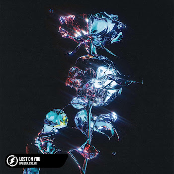 Haluna - Lost On You Ft Pacani