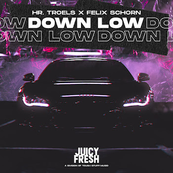 Hr. Troels - Down Low Ft Felix Schorn