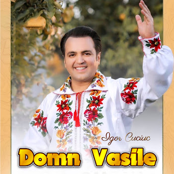 Igor Cuciuc - Domn Vasile
