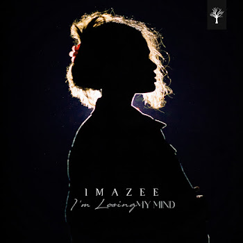 Imazee - I'm Losing My Mind