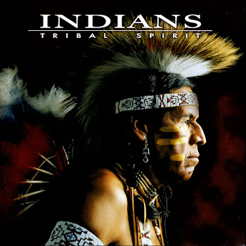 Indians - The Last Of The Mohicans