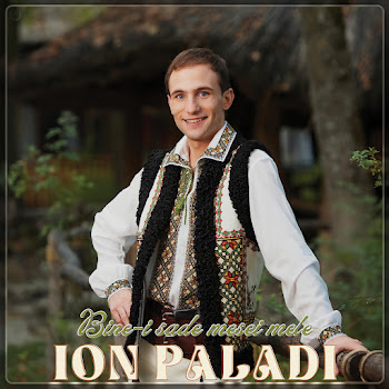 Ion Paladi - Bine-I Sade Mesei Mele