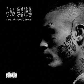 Lil Skies - Welcome To The Rodeo