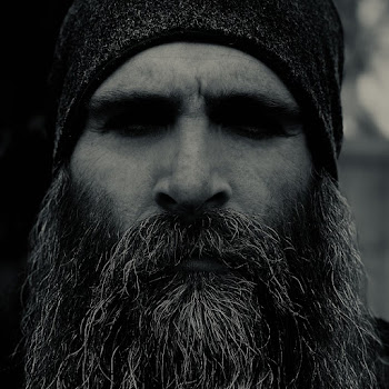 Matt Mcclure - The Lion