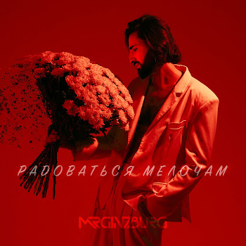 Mr.Ginzburg - Радоваться Мелочам