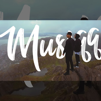Musiqq - В Книге Редких Видов