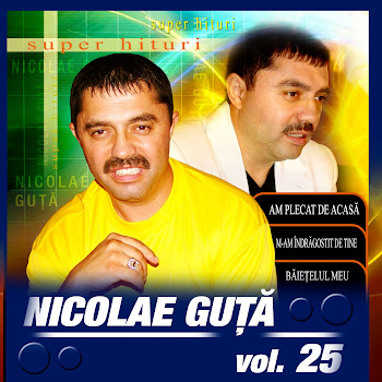 Nicolae Guta - Am Plecat De Acasa