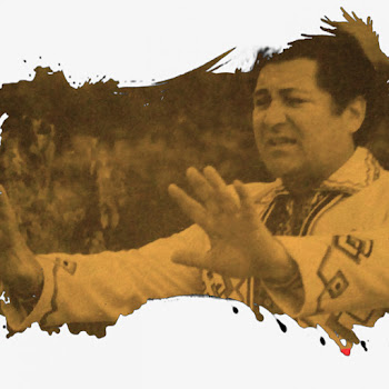 Nicolae Sulac - Foaie Verde Ca Aluna