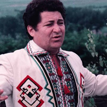 Nicolae Sulac - La Mandruta In Gradina