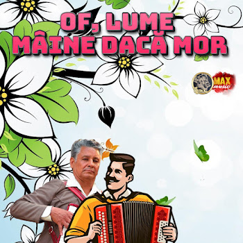 Petrecere La Romani - I-Auzi Una, I-Auzi Două