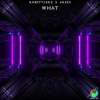 Rnbstylerz - What (Extended Mix) Ft Arees
