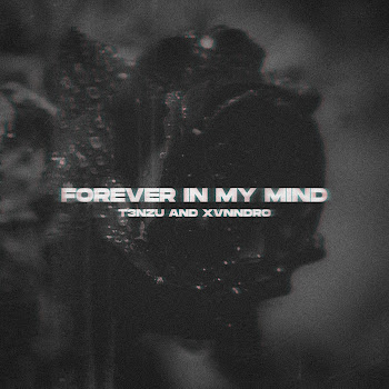T3Nzu - Forever In My Mind Ft Xvnndro