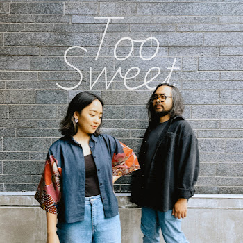 The Macarons Project - Too Sweet