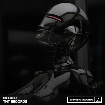 Tnt Records - Needed