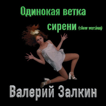 Валерий Залкин - Одинокая Ветка Сирени (Slow Version)