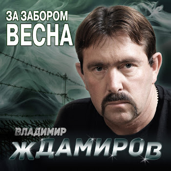 Владимир Ждамиров - Где Же Воля