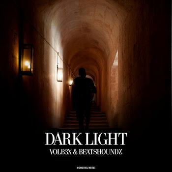Volb3X - Dark Light Ft Beatshoundz