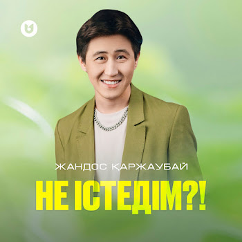 Жандос Қаржаубай - Не Істедім?!