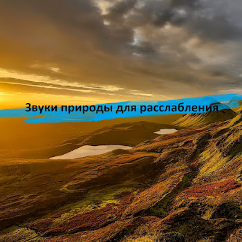 Звуки Природы - Пение Птиц Ft Meditation Music & Музыка Воды & And Музыка Для Сна